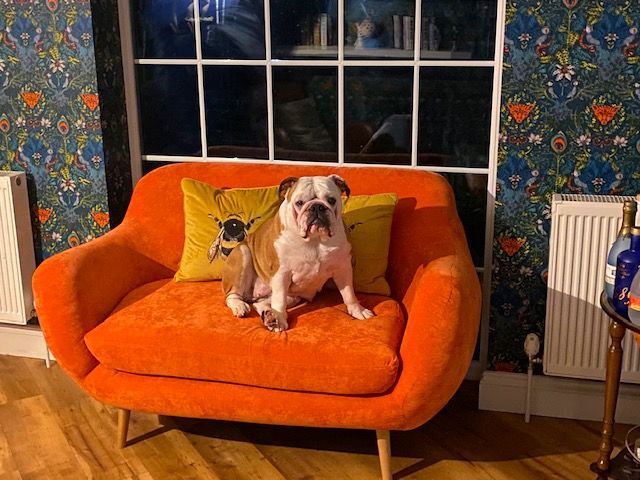 Pomarańczowa sofa retro Neve
