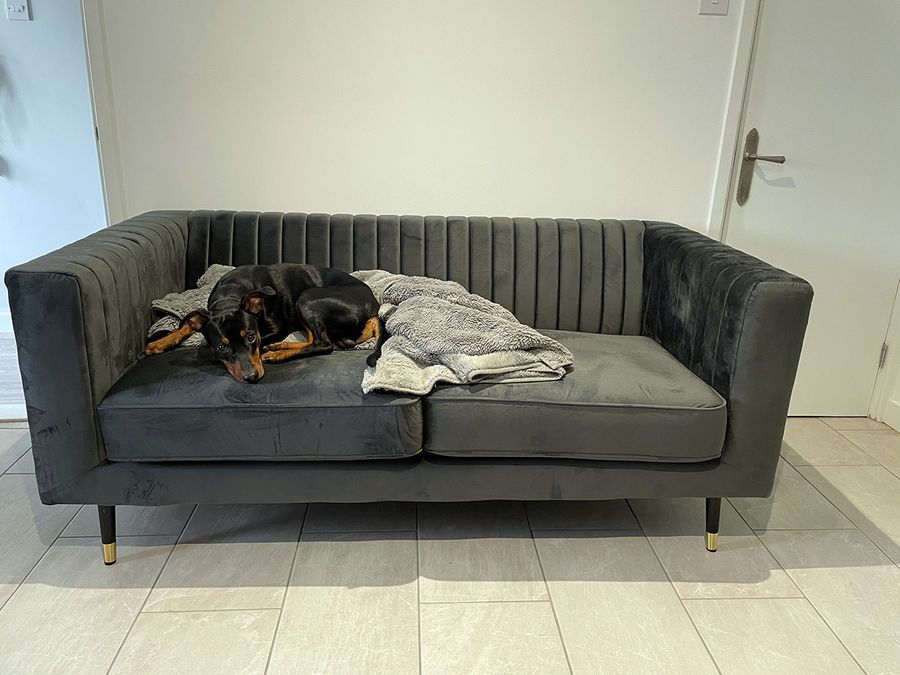 Dark velour Slender sofa