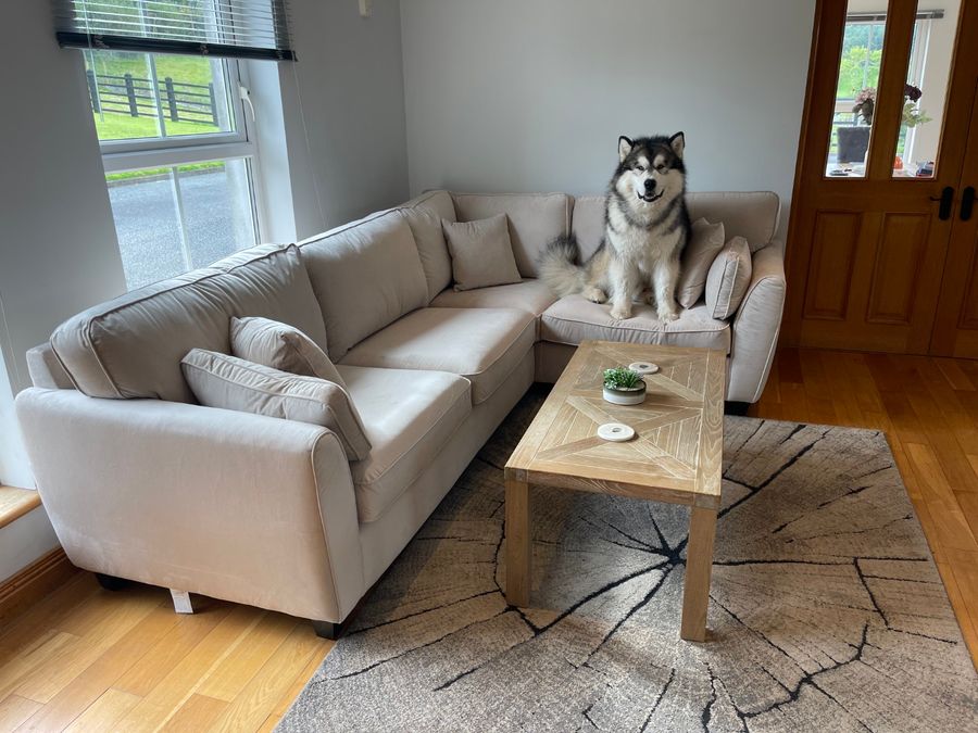 James Large Corner Sofa - @lifewithmalamutes