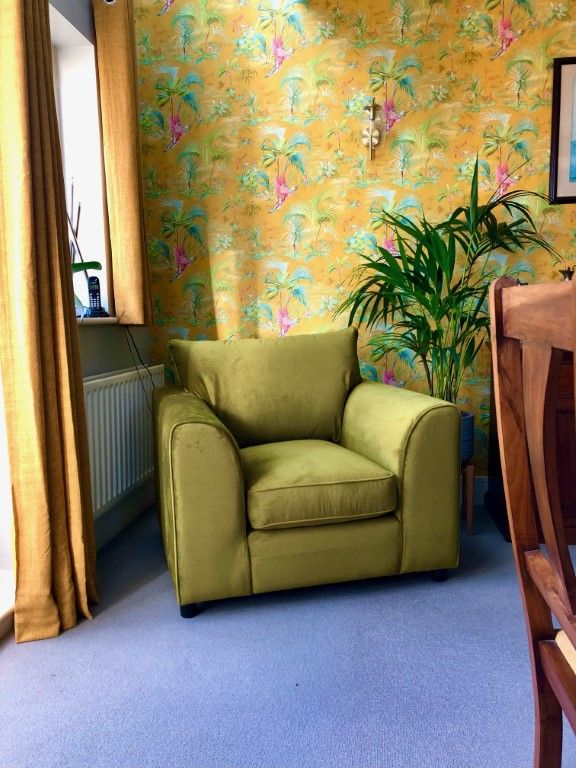 Dillon Velvet Armchair - Colin