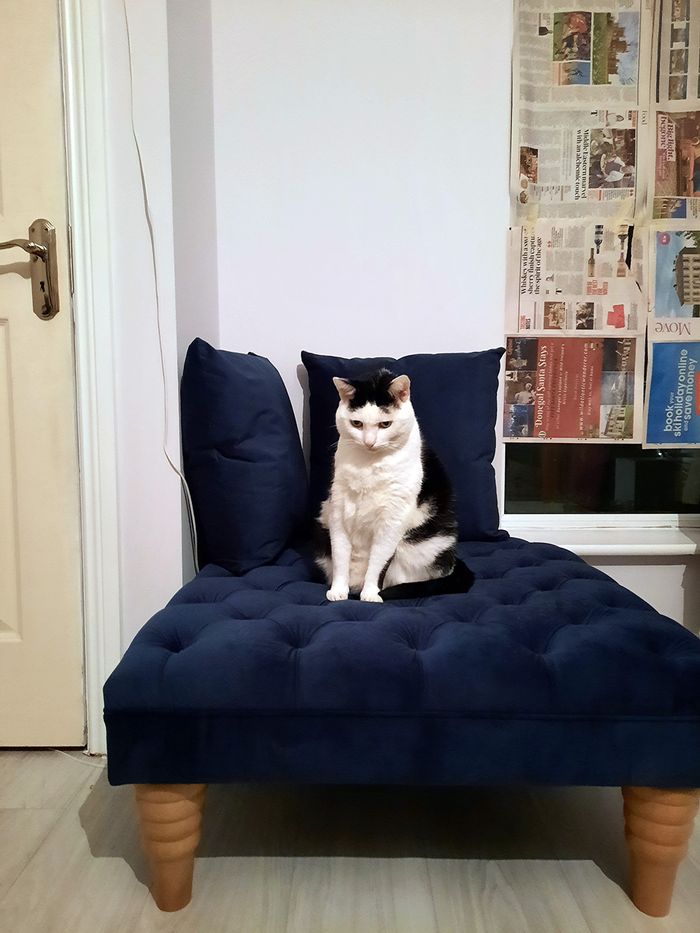 Chester Max Footstool - Emma
