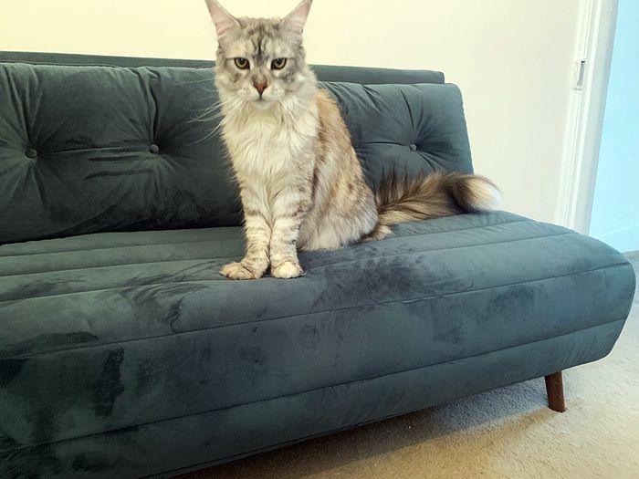 Flic Sofa - Rob