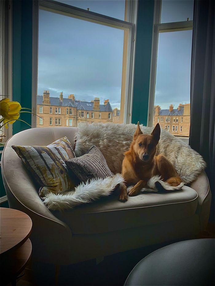 Kooper Armchair from Helene